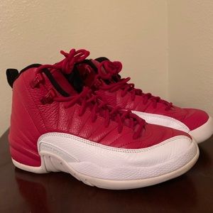 Jordan’s retro 12 “Alternatives”